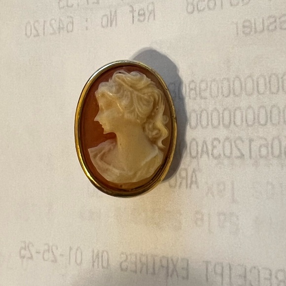 Jewelry - Vintage Left Facing Cameo Charm Coral Background in Gold Casing